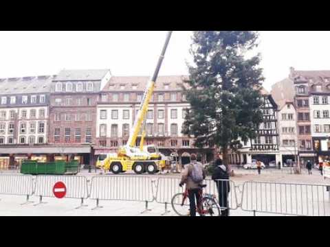 Démontage du grand sapin de la place Kléber