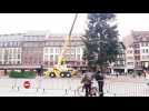 Démontage du grand sapin de la place Kléber