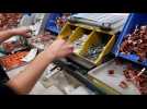 Hager Obernai: fabrication des disjoncteurs