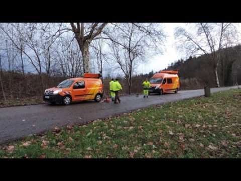 Un arbre s'effondre sur un poids lourd à Bois l'Abbesse