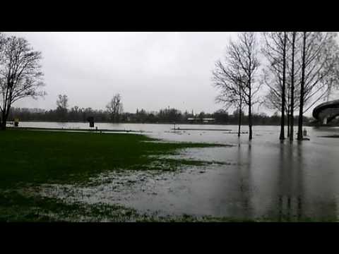 Le Rhin en crue à Kehl