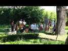 Festival de musique mécanique à Wintzenheim