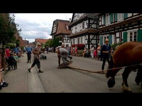 WP_20160717_15_59_37_Pro.mp4