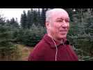 Producteur de sapins de Weyersheim - Label : Les Dernières Nouvelles d'Alsace - Category : News