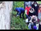 Strasbourg : nettoyage de l'Ill - Label : Les Dernières Nouvelles d'Alsace - Category : News