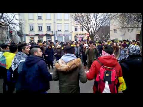 Manifestation kurde à Strasbourg