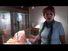 Exposition F&eacute;minin Pluri'Elles - Label : Les Dernières Nouvelles d'Alsace - Category : News