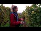 Op&eacute;ration commando - Label : Les Dernières Nouvelles d'Alsace - Category : News