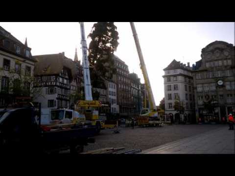 A Strasbourg, le grand sapin de Noël est arrivé sur la place Kléber