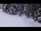 Ski de randonn&eacute;e nordique dans les Hautes Vosges - Label : Les Dernières Nouvelles d'Alsace - Category : News