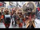 Le 37e carnaval de Saverne - Label : Les Dernières Nouvelles d'Alsace - Category : News