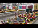 Le printemps qui pousse - Label : Les Dernières Nouvelles d'Alsace - Category : News