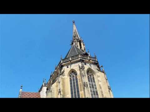 Crémation habillage sapins