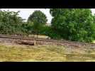 Orage sur Gresswiller - Label : Les Dernières Nouvelles d'Alsace - Category : News