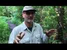 Nouveau documentaire de Serge Dumont sur les nappes phr&eacute;atiques - Label : Les Dernières Nouvelles d'Alsace - Category : News