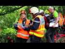 Exercice grand format &agrave; Grendelbruch - Label : Les Dernières Nouvelles d'Alsace - Category : News