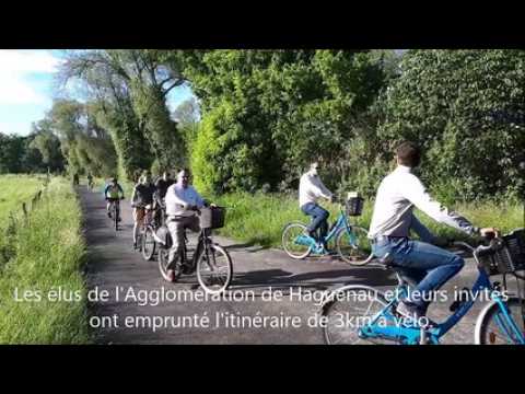 Piste cyclable à Haguenau