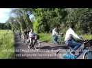 Piste cyclable &agrave; Haguenau - Label : Les Dernières Nouvelles d'Alsace - Category : News
