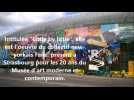 Une fresque monumentale sur la verri&egrave;re de la gare de Strasbourg - Label : Les Dernières Nouvelles d'Alsace - Category : News