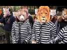 Animalsace veut des cirques sans animaux
