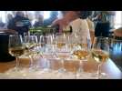 La confr&eacute;rie des vins de Cleebourg choisit sa cuv&eacute;e - Label : Les Dernières Nouvelles d'Alsace - Category : News