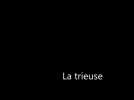 Trieuse d'asperges - Label : Les Dernières Nouvelles d'Alsace - Category : News