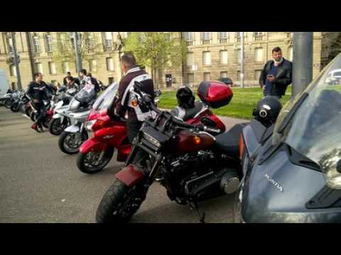 WP_20180414_18_01_44_Pro