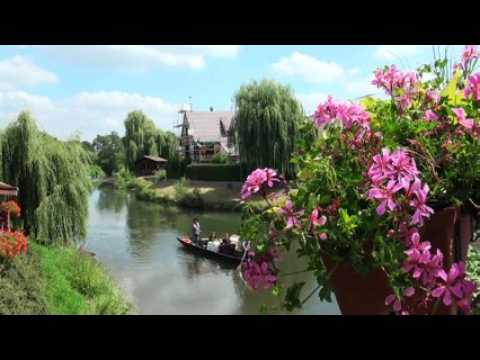 La matelote de poissons d’Alsace de Christophe Poujol