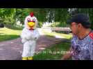 Le radar, les amendes et le poulet - Label : Les Dernières Nouvelles d'Alsace - Category : News