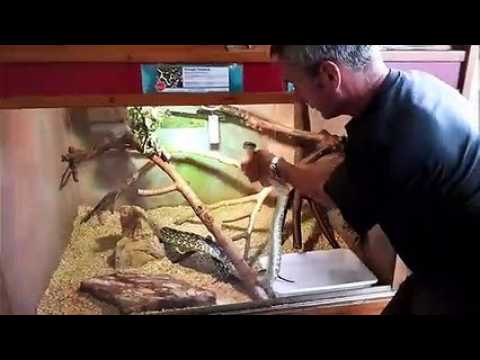 Le vétérinaire du parc zoologique de Saint-Martin-la-Plaine