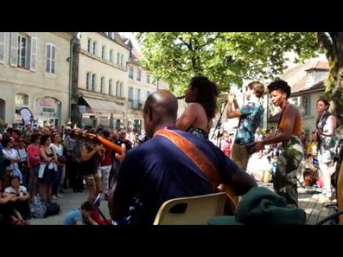 Festival cirque et fanfares à Dole: la formation "Komba Doudou Chéri" place aux fleurs
