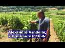 Deux viticulteurs du Jura face à la météo
