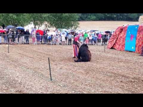 L'Ours Valentin en spectacle à la fête médiévale de Leffond