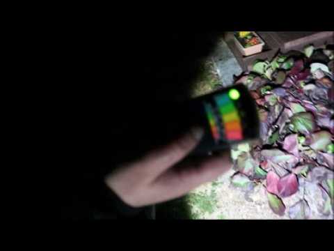 Chasse aux fantômes à Saint-Etienne-de-Coldre