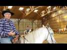 Médiation animale :  Benoît Denis chuchote à l’oreille des chevaux