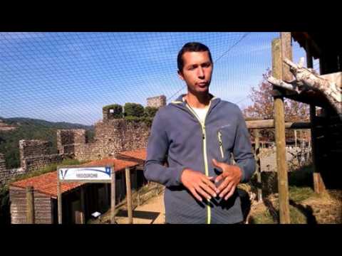 Volerie du Forez : un prétendant pour le vautour Fred