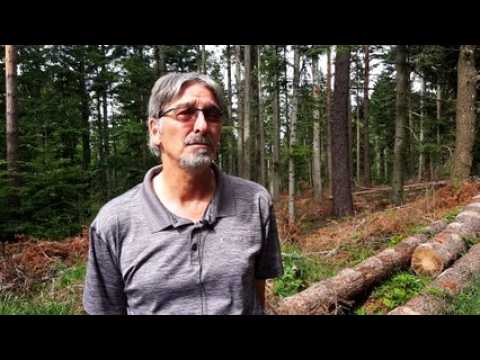 Les risques d'une forêt monospécifique, par le spécialiste forestier Jean-Claude Génot