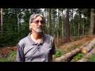Les risques d'une for&ecirc;t monosp&eacute;cifique, par le sp&eacute;cialiste forestier Jean-Claude G&eacute;not - Label : Le Républicain Lorrain - Category : News