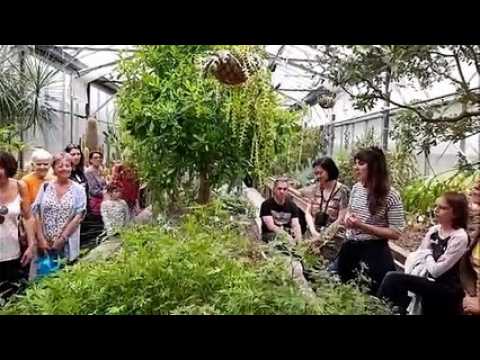 Connaitre les plantes et apprendre à dessiner au jardin botanique de Metz