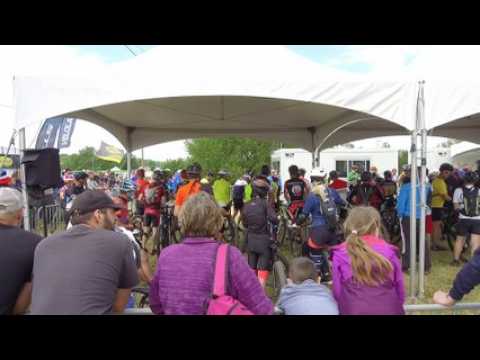 Les Crapauds : une course aux mille visages