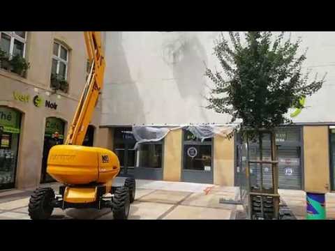 Constellations à Metz : découvrez la nouvelle fresque qui orne le centre-ville