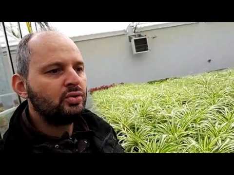 Comment jardiner sans se planter