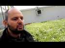 Comment jardiner sans se planter - Label : Le Républicain Lorrain - Category : News