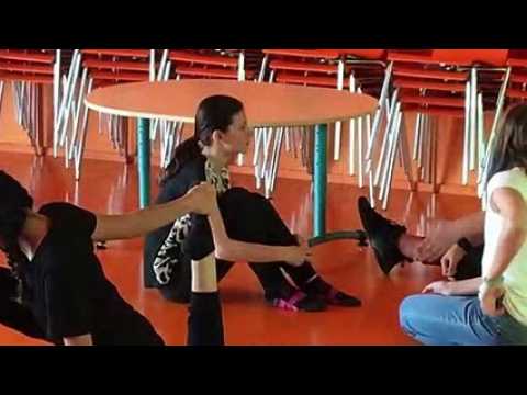 Le groupe des danseuses du collège Gaston-Ramon d'Audun-le-Roman lors de leur qualification pour les championnats de France de danse UNSS.
