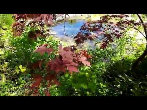 Hombourg-Haut : visite guidée du jardin d’Hausen