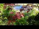 Hombourg-Haut : visite guidée du jardin d’Hausen