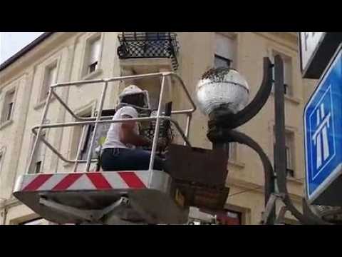Un essaim d'abeilles en plein centre ville à Hayange
