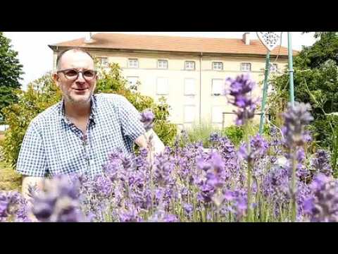 75 jeunes symphonistes de Moselle réunis à Sarrebourg