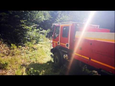 Un incendie embrase la forêt à Dabo
