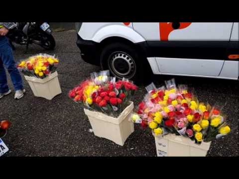 Moselle-Sud : des centaines de motards et des milliers de roses contre le cancer